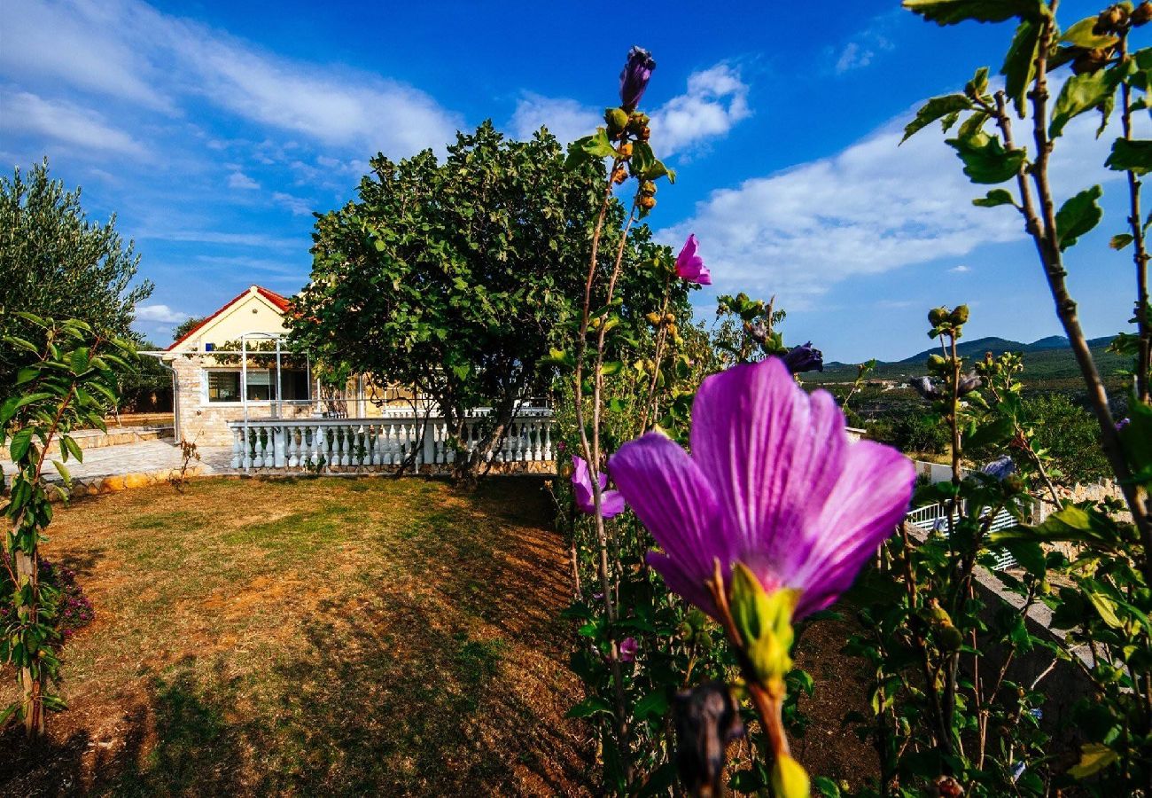 Ferienhaus in Zaton Obrovacki - Villa Sucic with private pool