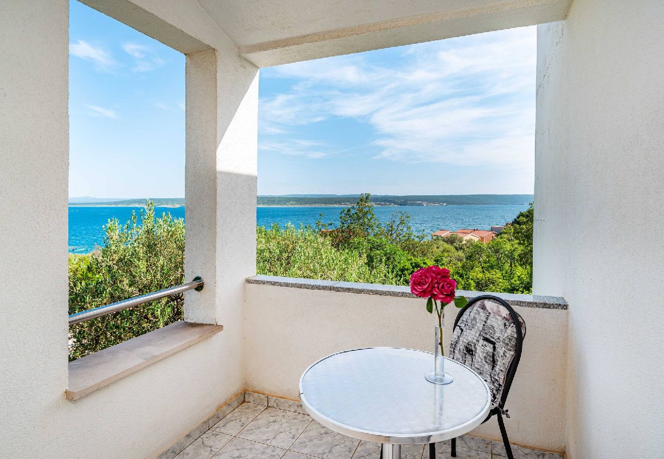 Ferienwohnung in Maslenica - Sea view apartment Dajana