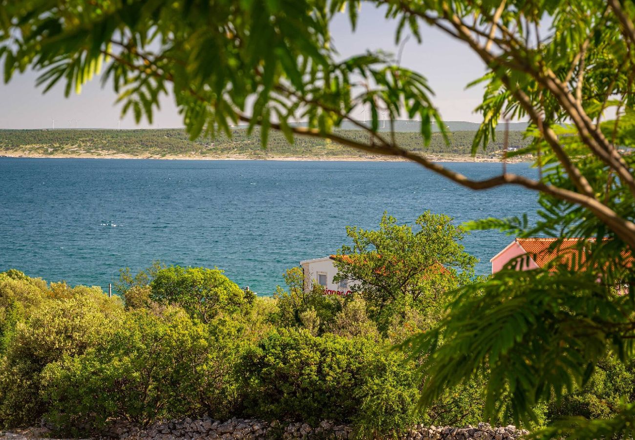 Ferienwohnung in Maslenica - Sea view apartment Dajana