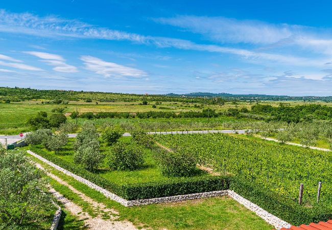 Ferienhaus in Žažvic - Holiday home Agro Casa Ferienhaus in Žažvic - Holiday home Agro Casa