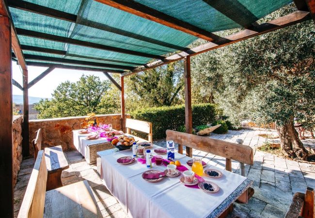 Ferienhaus in Starigrad - Holiday home Jucinovi Dvori Ferienhaus in Starigrad - Holiday home Jucinovi Dvori