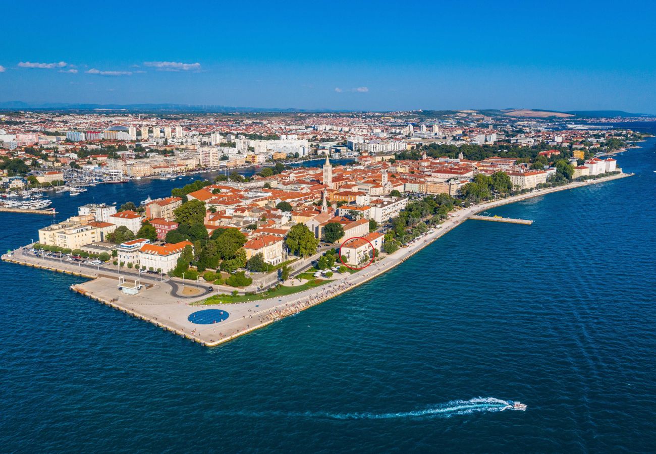 Studio in Zadar - Sea View Apartment Riva