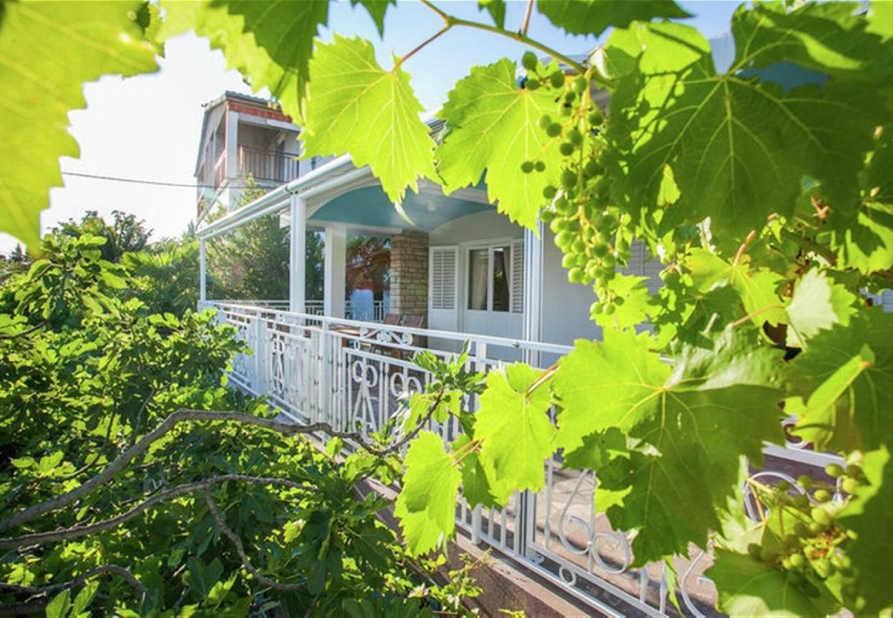 Ferienhaus in Maslenica - Vacation house Maslenica