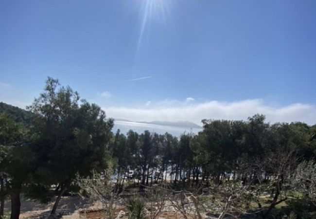 Ferienwohnung in Drage - Sea view apartment Vanja Ferienwohnung in Drage - Sea view apartment Vanja