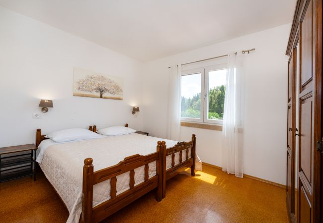 Ferienhaus in Peracko Blato - Villa Green Paradise Ferienhaus in Peracko Blato - Villa Green Paradise