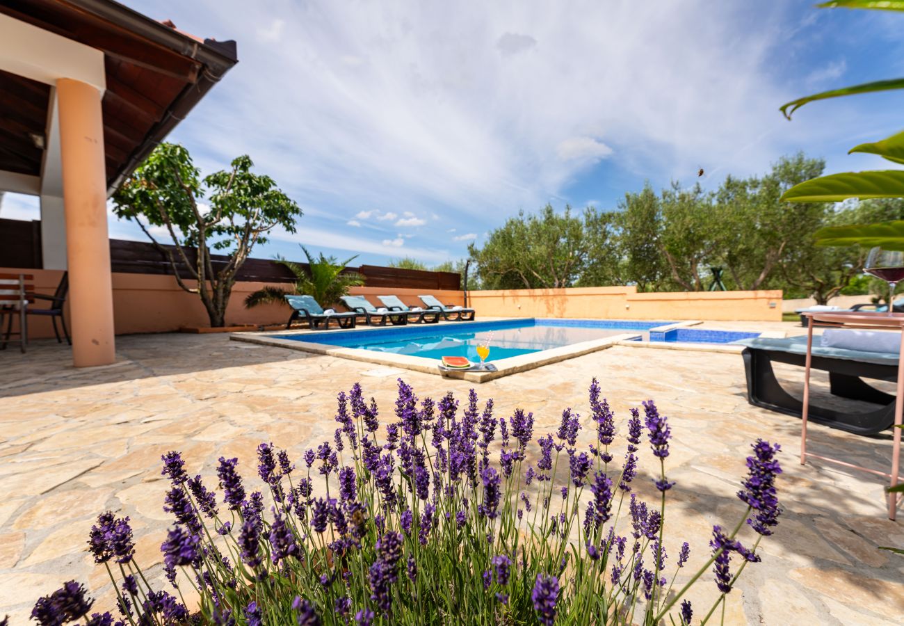 Ferienhaus in Visocane - Apartment Visocane with private pool