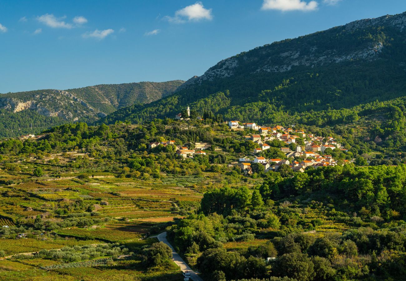 Ferienhaus in Svirce - Authentic Villa Fisola