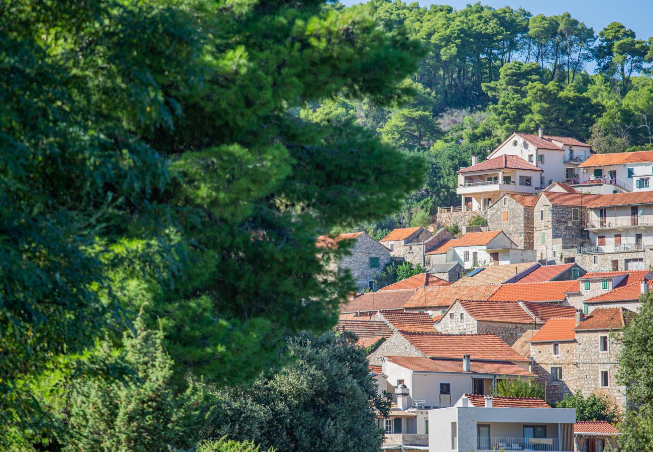 Ferienhaus in Svirce - Sea view Villa Amaria