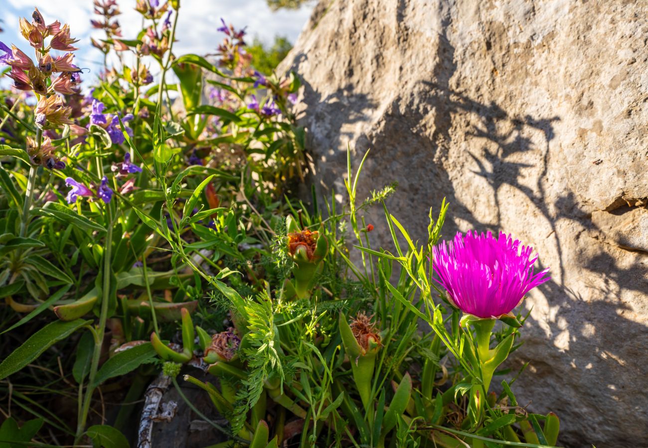 Ferienhaus in Starigrad - Sea view stone house Dobroselo