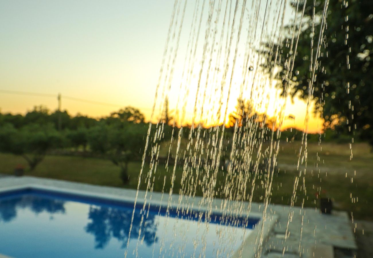 Ferienhaus in Donji Kašic - Holiday home Mandorla