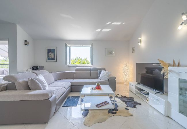Apartamento en Privlaka - Sea view apartment Privlaka Apartamento en Privlaka - Sea view apartment Privlaka