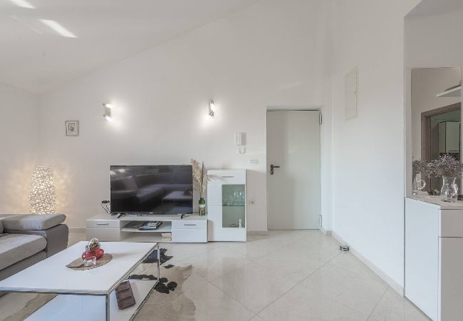 Apartamento en Privlaka - Sea view apartment Privlaka Apartamento en Privlaka - Sea view apartment Privlaka