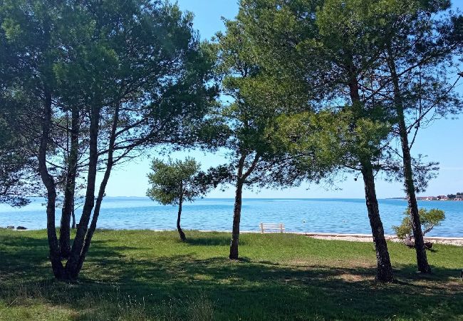 Apartamento en Privlaka - Sea view apartment Privlaka Apartamento en Privlaka - Sea view apartment Privlaka