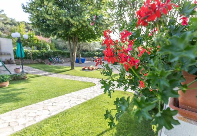 Apartamento en Šibenik - Beach apartment Jadrija Apartamento en Šibenik - Beach apartment Jadrija