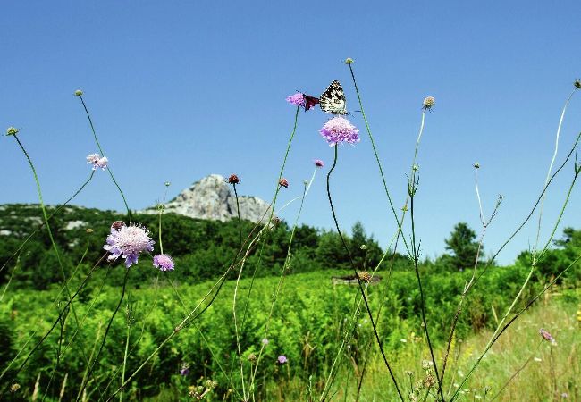 Chalet en Sveti Rok - Chalet Sveti Rok Chalet en Sveti Rok - Chalet Sveti Rok