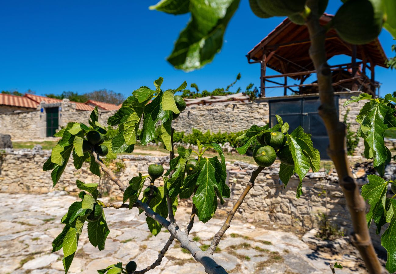 Casa en Kula Atlagic - Villa Hilltop Paradise