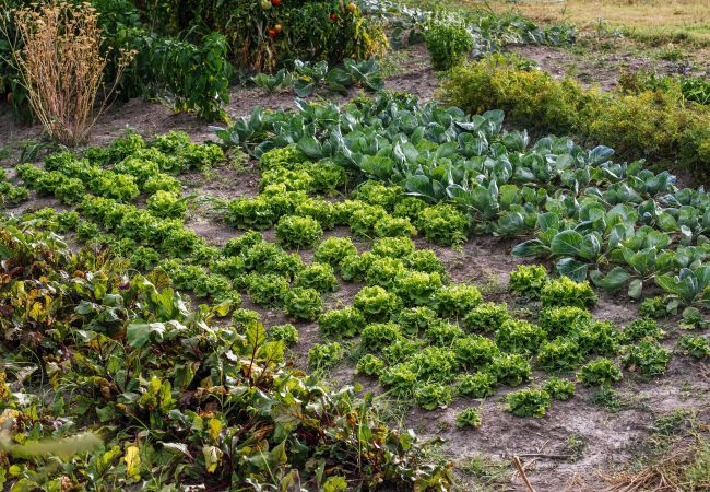 Maison à Kakma - Authentic stone house Momo Maison à Kakma - Authentic stone house Momo