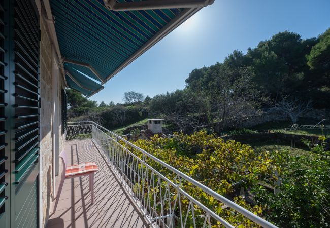 Maison à Dobropoljana - Holiday home Antonela Maison à Dobropoljana - Holiday home Antonela
