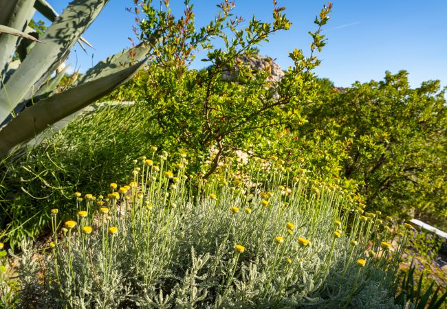 Maison à Starigrad - Sea view stone house Dobroselo Maison à Starigrad - Sea view stone house Dobroselo