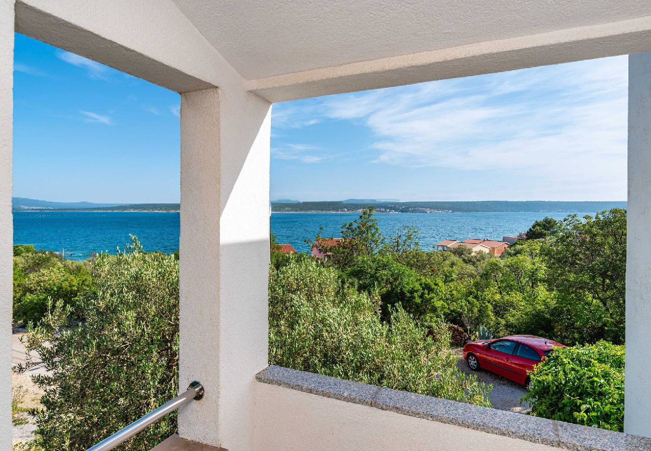 Appartamento a Maslenica - Sea view apartment Dajana