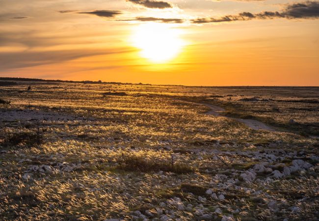 Casa a Ražanac - Sea view Villa Punta Casa a Ražanac - Sea view Villa Punta