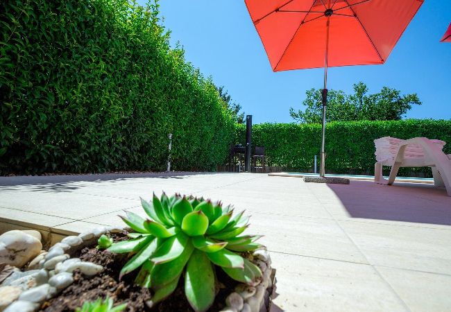 Appartamento a Zadar - Apartment ViGo with private pool Appartamento a Zadar - Apartment ViGo with private pool