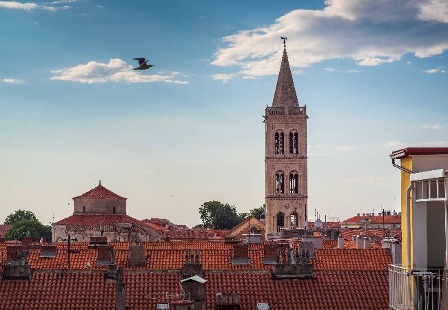 Appartamento a Zadar - Sunset apartment Kalelarga Appartamento a Zadar - Sunset apartment Kalelarga