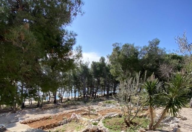 Appartamento a Drage - Sea view apartment Vanja Appartamento a Drage - Sea view apartment Vanja