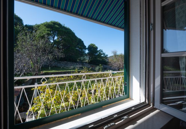 Casa a Dobropoljana - Holiday home Antonela Casa a Dobropoljana - Holiday home Antonela