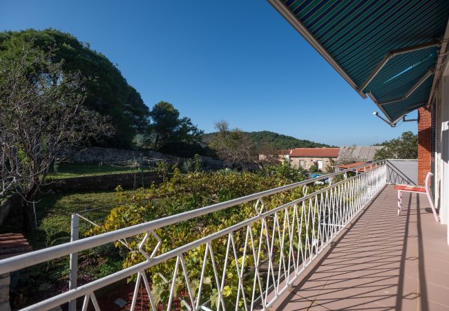 Casa a Dobropoljana - Holiday home Antonela Casa a Dobropoljana - Holiday home Antonela