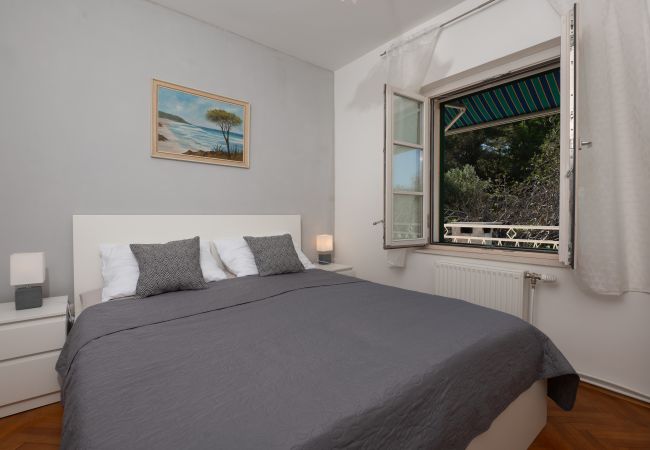 Casa a Dobropoljana - Holiday home Antonela Casa a Dobropoljana - Holiday home Antonela