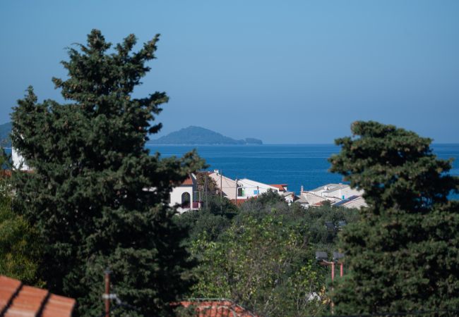 Casa a Dobropoljana - Holiday home Antonela Casa a Dobropoljana - Holiday home Antonela