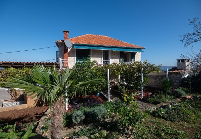 Casa a Dobropoljana - Holiday home Antonela Casa a Dobropoljana - Holiday home Antonela
