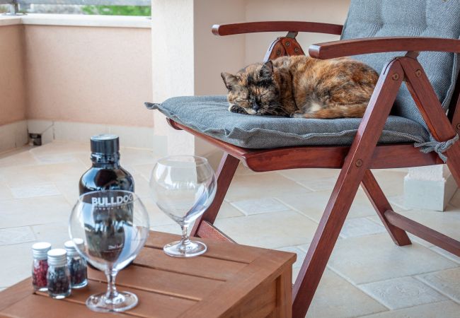 Casa a Svirce - Sea view Villa Amaria Casa a Svirce - Sea view Villa Amaria