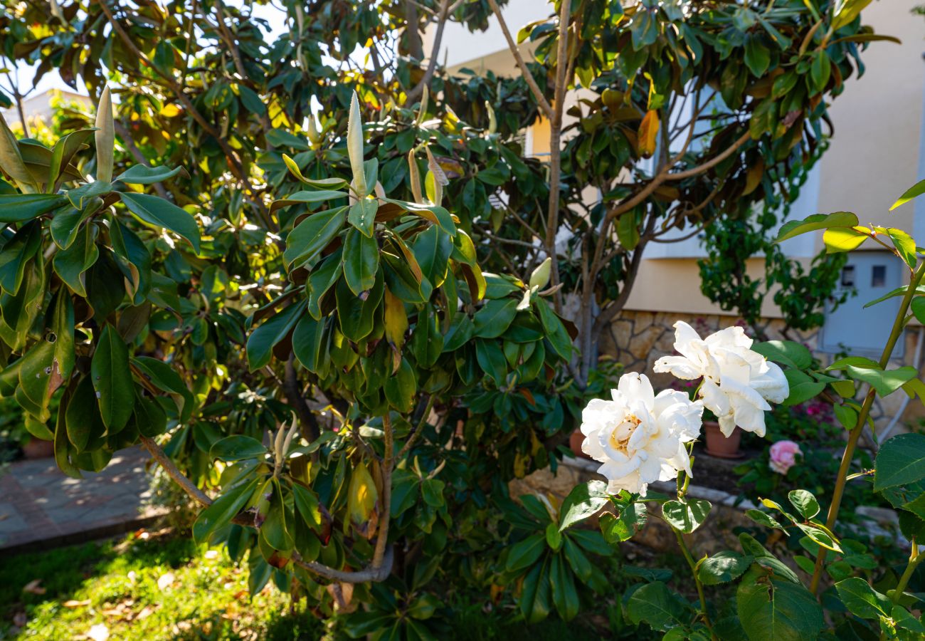 Casa a Privlaka - Beach house Privlaka