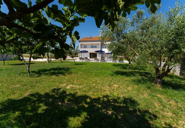 Casa a Galovac - Villa Campi Dalmatia Casa a Galovac - Villa Campi Dalmatia