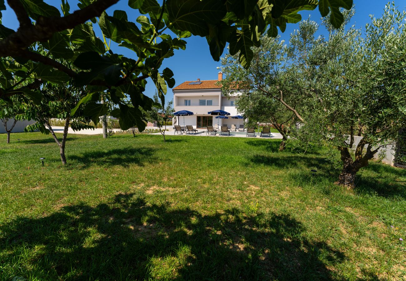 Casa a Galovac - Villa Campi Dalmatia