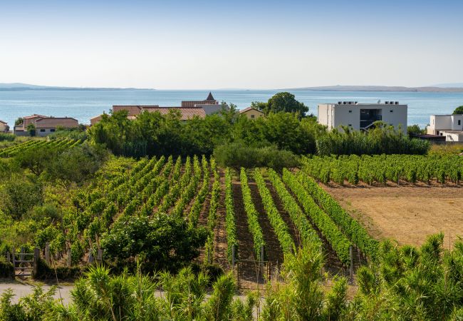 Appartamento a Vrsi - Beach apartment LaMag Appartamento a Vrsi - Beach apartment LaMag