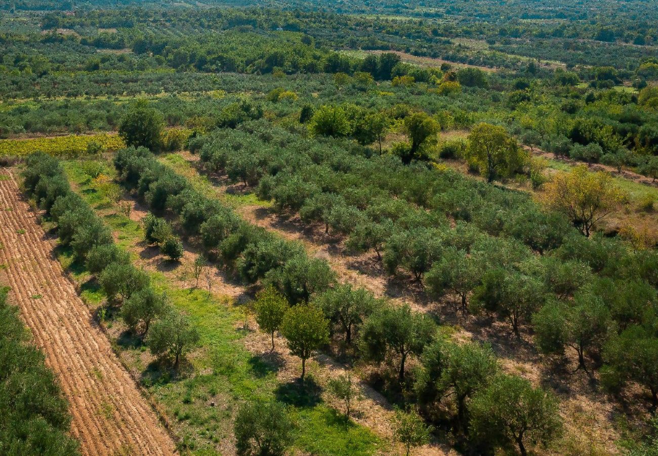 Casa a Skradin - Villa Manda Adriatic