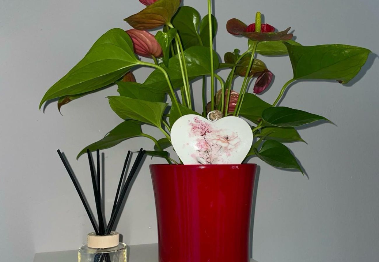 Casa a Skradin - Villa Manda Adriatic