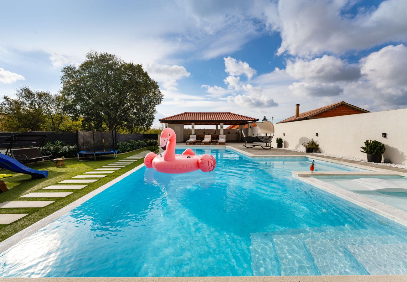 Appartamento a Galovac - Apartment Galleli with private pool