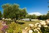 Casa a Donji Kašic - Holiday home Mandorla