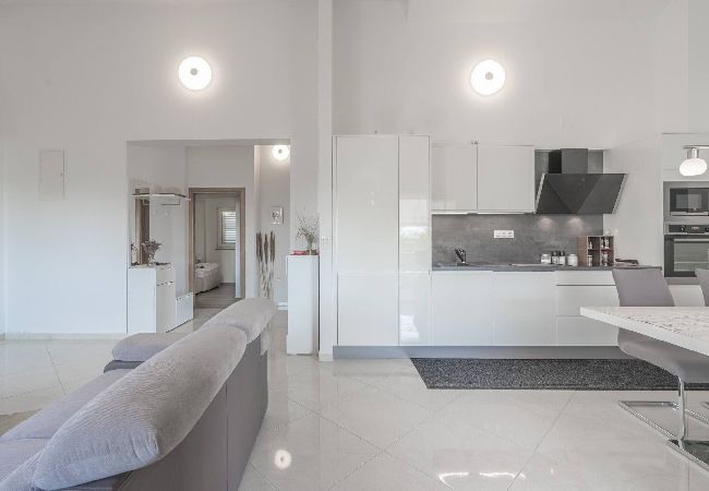 Apartament w Privlaka - Sea view apartment Privlaka Apartament w Privlaka - Sea view apartment Privlaka