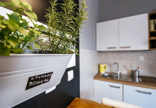 Apartament w Ražanac - Beach Apartment Neno Apartament w Ražanac - Beach Apartment Neno