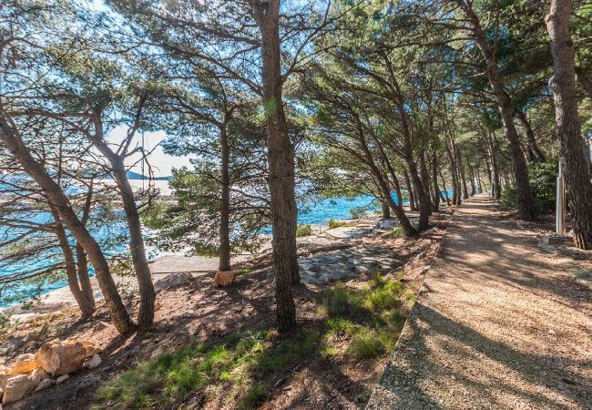 Apartament w Drage - Sea view apartment Vanja Apartament w Drage - Sea view apartment Vanja