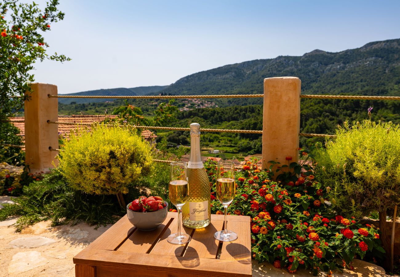 Dom w Svirce - Sea view Villa Amaria