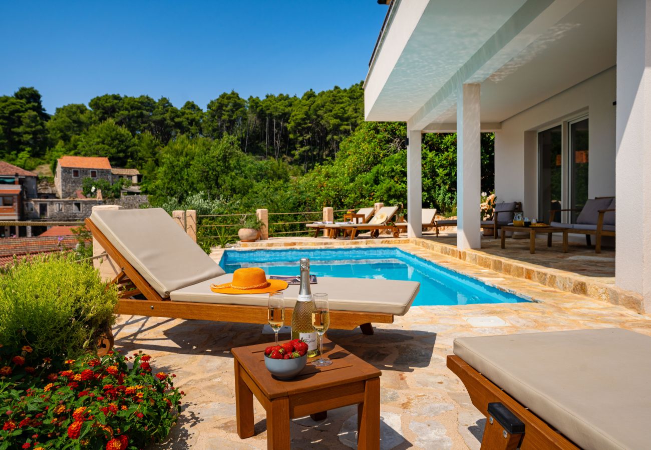Dom w Svirce - Sea view Villa Amaria