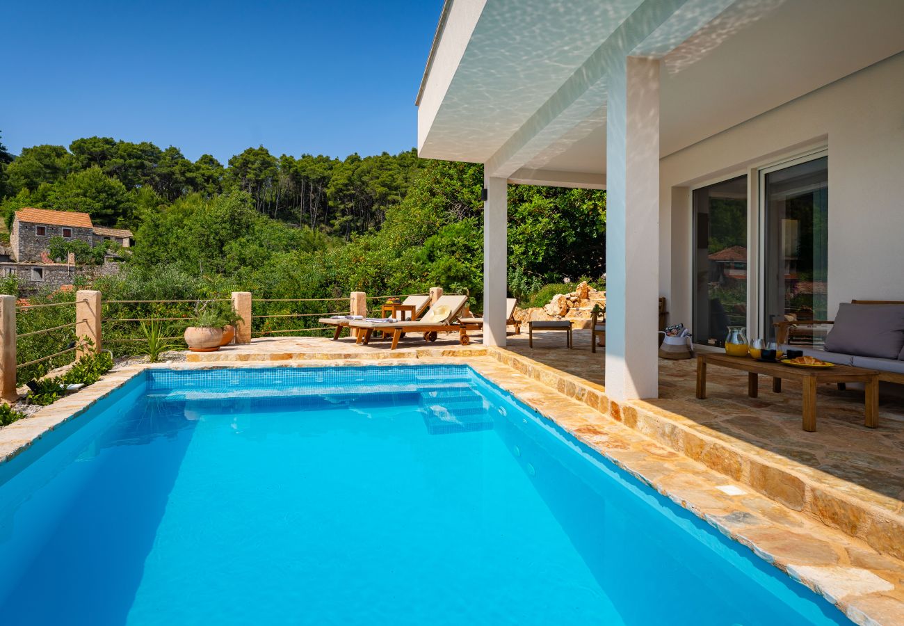 Dom w Svirce - Sea view Villa Amaria