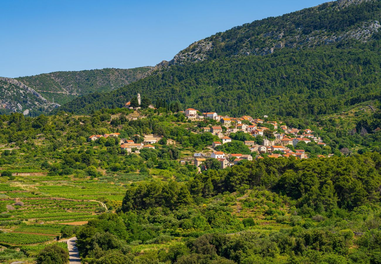 Dom w Svirce - Sea view Villa Amaria