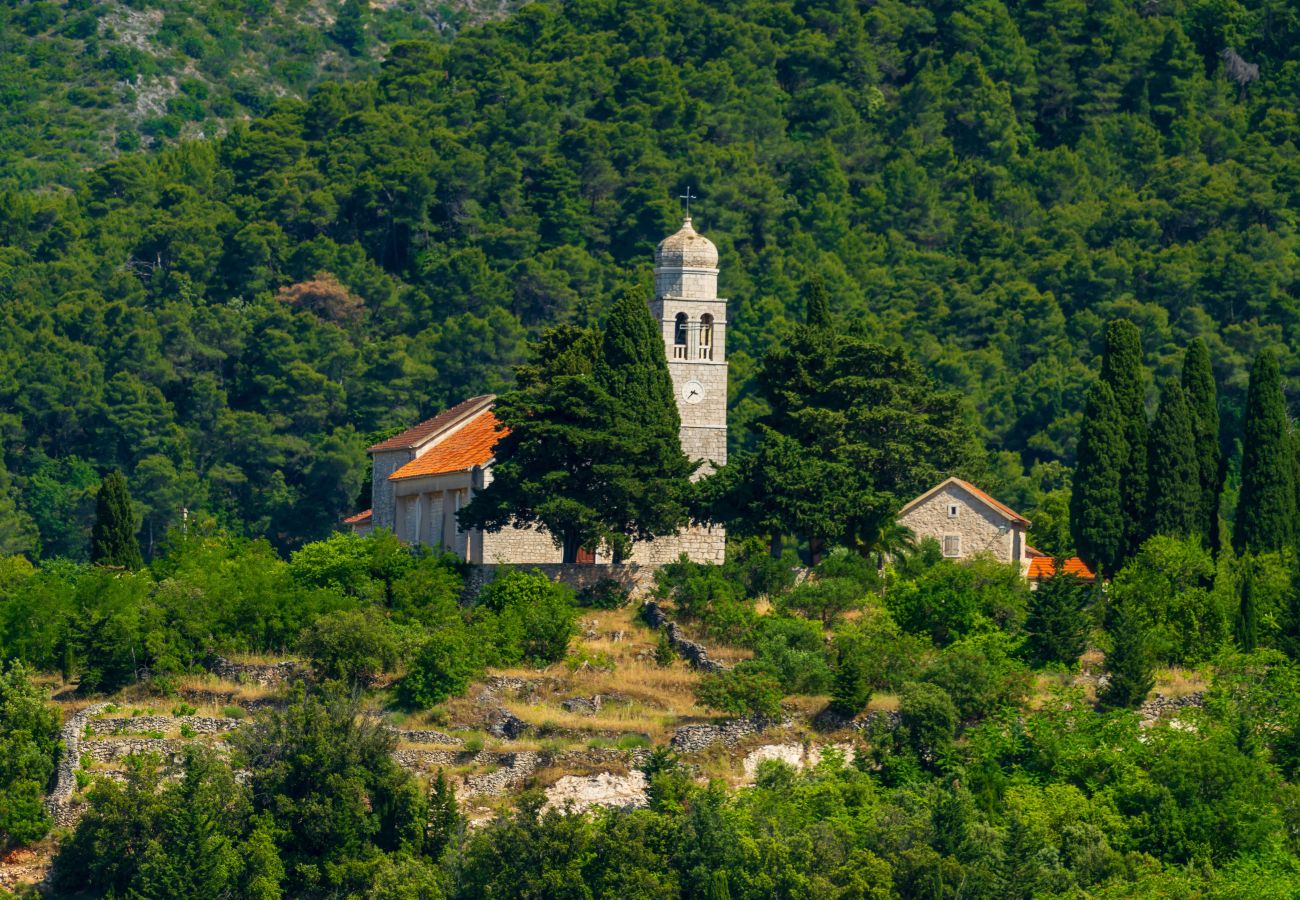 Dom w Svirce - Sea view Villa Amaria